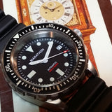 Original SAR, Nov., 2004 contract